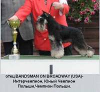 BANDSMAN ON BROADWAY