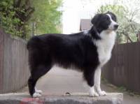 Кубрау Страж Орокин