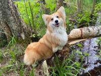 Цыпкина Дарья