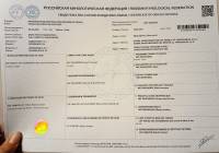 Журавлева Анастасия