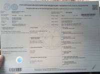Апухтина-Агеичкина Анастасия