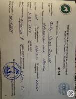 Дубинина Анна