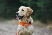 Коденцева Ирина